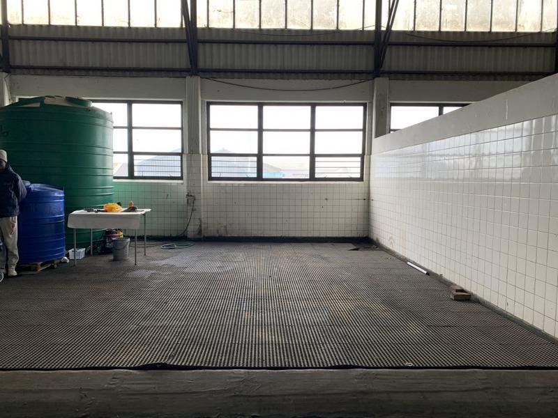 To Let commercial Property for Rent in Paarden Eiland Western Cape